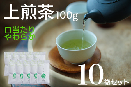 宮崎日本茶専門店 上煎茶100g 10本セット お茶 緑茶 ギフト お取り寄せ【D140】