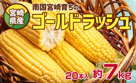 宮崎県産<南国育ち ゴールドラッシュ20本入>約7kg【B414】