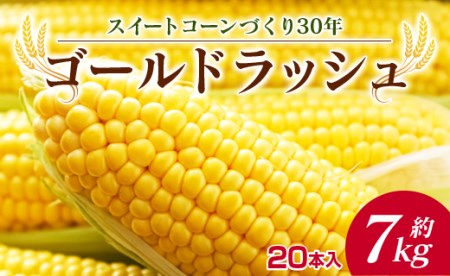 「スイートコーンづくり30年」ゴールドラッシュ 約7kg(20本入)※2020年6月上旬頃より順次出荷【B415】