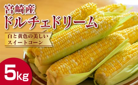 白と黄色の美しいスイートコーン「ドルチェドリーム」5kg【B416】