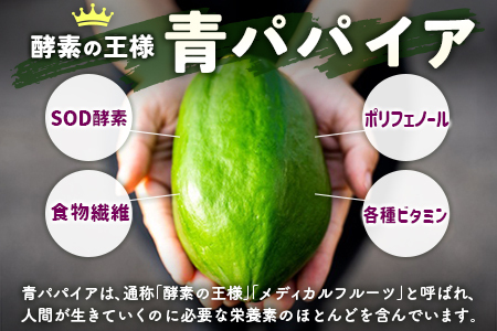 業務用 青パパイアドレッシング 900ml 国産 調味料【A317】