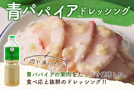 業務用 青パパイアドレッシング 900ml 国産 調味料【A317】