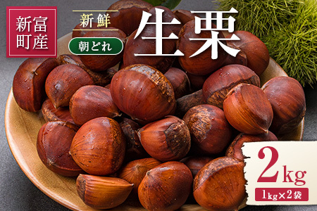 <2026出荷!!>国産 新鮮朝どれ(生栗)2kg お取り寄せ 産地直送 宝珠栗 数量限定 宮崎県新富町産【B669-26】