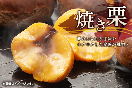 <2026出荷!!>国産 新鮮朝どれ(生栗)3kg お取り寄せ 産地直送 宝珠栗 数量限定 宮崎県新富町産【B670-26】