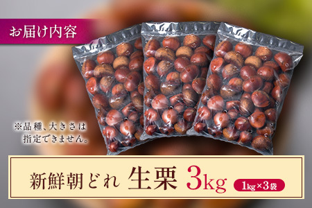 <2026出荷!!>国産 新鮮朝どれ(生栗)3kg お取り寄せ 産地直送 宝珠栗 数量限定 宮崎県新富町産【B670-26】