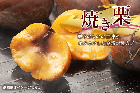 <2026出荷!!>国産 低温熟成栗(生栗)1kg 熟成宝珠栗 産地直送 宮崎県新富町産【B671-26】