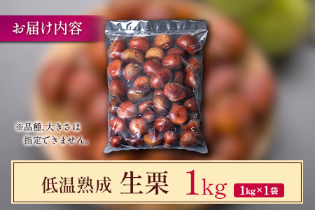 <2026出荷!!>国産 低温熟成栗(生栗)1kg 熟成宝珠栗 産地直送 宮崎県新富町産【B671-26】
