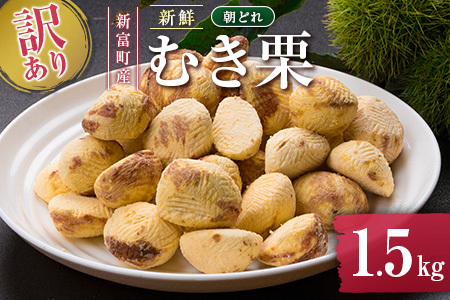 ＜2026出荷!!＞＜訳あり＞期間限定 国産 新鮮朝どれ（むき栗）1.5kg 産地直送 お取り寄せ 宝珠栗 宮崎県新富町産【C448-26】