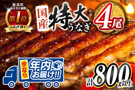 ＜今なら年内お届け!!＞12/22受付分まで 特大 うなぎ 鰻楽 国産 蒲焼 4尾 計800g以上  人気 無頭 高評価 おすすめ 冷凍 簡単調理 個包装 鰻 魚介 贈答品 ギフト 贈り物【C388-800-2512】