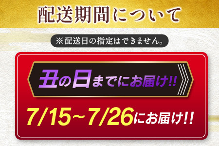 <丑の日>国産うなぎ蒲焼 3尾 計480g以上【C444-USHI】