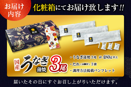 <丑の日>国産うなぎ蒲焼 3尾 計480g以上【C444-USHI】