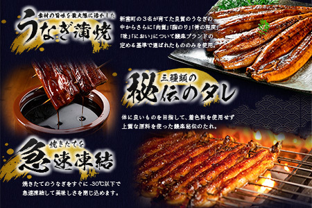 <丑の日>国産うなぎ蒲焼 3尾 計480g以上【C444-USHI】