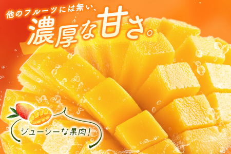 ＜数量限定＞宮崎県産 完熟マンゴー2L×3玉（計1kg以上）※2026年4月下旬配送開始 化粧箱入 フルーツ くだもの【D147】