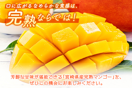 ＜数量限定＞宮崎県産 完熟マンゴー2L×3玉（計1kg以上）※2026年4月下旬配送開始 化粧箱入 フルーツ くだもの【D147】