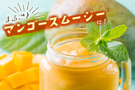 ＜数量限定＞宮崎県産 完熟マンゴー2L×3玉（計1kg以上）※2026年4月下旬配送開始 化粧箱入 フルーツ くだもの【D147】