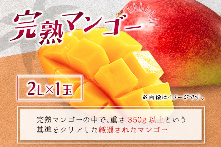 完熟マンゴー&生ライチ トロピカルセット ≪2026年産≫ 宮崎県産 数量限定 人気 フルーツ 果物 詰め合わせ 化粧箱入り【C74-26】