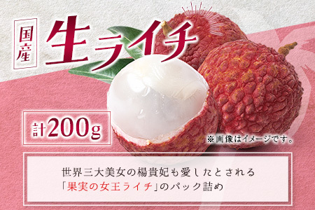 完熟マンゴー&生ライチ トロピカルセット ≪2026年産≫ 宮崎県産 数量限定 人気 フルーツ 果物 詰め合わせ 化粧箱入り【C74-26】