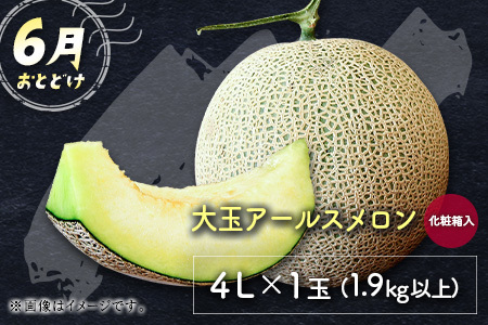 サマーフルーツ定期便 全2回 ＜メロン・マンゴー＆ライチ＞※2026年6月開始 旬 果物【E242】