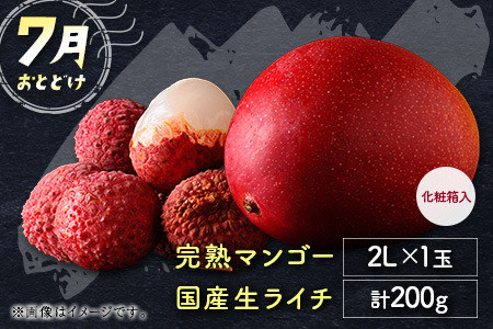 サマーフルーツ定期便 全2回 ＜メロン・マンゴー＆ライチ＞※2026年6月開始 旬 果物【E242】