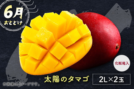 サマーフルーツ定期便 全3回＜メロン・マンゴー・ライチ＞ ※2026年5月開始 旬 果物【E244】