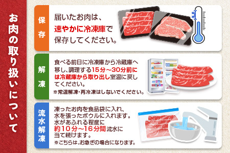 【26年1月お届け 年末限定企画】 モモ スライス 500g 赤身 肉 B532-SS-01 