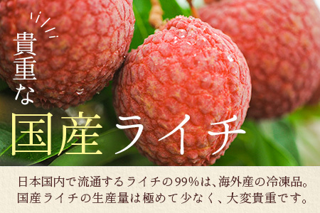 宮崎県産 生ライチ「至高の紅玉」計600g ≪2026年6月下旬～発送≫ 人気 国産 希少 果物 旬 ギフト プレゼント【C453】