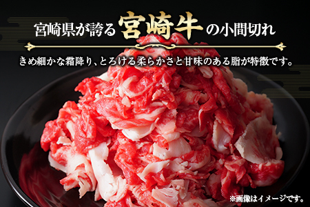 宮崎牛 小間切れ 便利な小分け 200g×5P 計1kg 人気 冷凍 国産【C449】