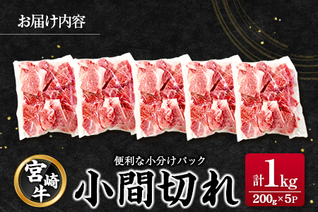 宮崎牛 小間切れ 便利な小分け 200g×5P 計1kg 人気 冷凍 国産【C449】