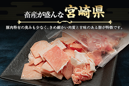 宮崎県産 豚 小間切れ 便利な小分け 200g×5P 計1kg 人気 冷凍 国産【A332】