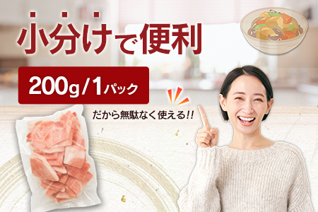 宮崎県産 豚 小間切れ 便利な小分け 200g×5P 計1kg 人気 冷凍 国産【A332】