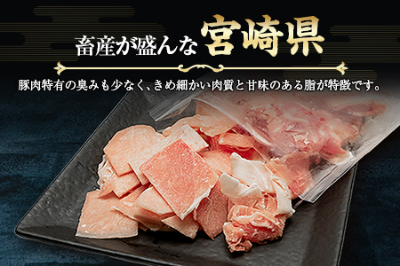 宮崎県産 豚 小間切れ 便利な小分け 200g×10P 計2kg 人気 冷凍 国産【B680】