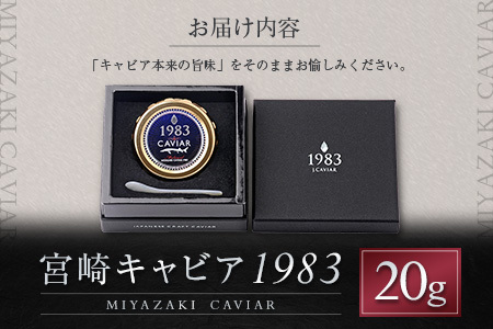 宮崎キャビア1983 計20g 贈答品 高級 魚卵 国産【E247】