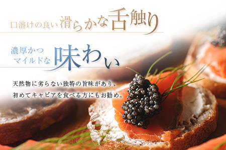 宮崎キャビア1983 バエリ プレミアム 計20g 贈答品 高級 魚卵 国産【E249】