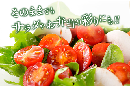 期間・数量限定＞［2026年発送］くるみのトマト 計1.3kg 宮崎県新富町