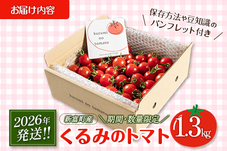 ＜期間・数量限定＞［2026年発送］くるみのトマト 計1.3kg 宮崎県新富町産 朝採れ 野菜 フレッシュ 国産【B667】