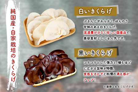 国産 乾燥きくらげ （黒・白）食べ比べセット 計48g きのこ 希少 MONOQLO【C455】
