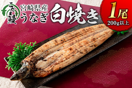 「こだま鰻」宮崎県産 うなぎ白焼き（1尾）200g以上 国産 真空パック【B661】