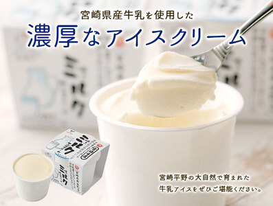 牛乳屋さんが作ったアイスクリーム 9個セット【B309】