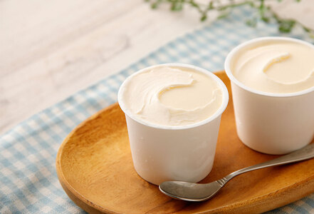 牛乳屋さんが作ったアイスクリーム 9個セット【B309】