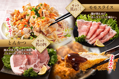 ＜2026年2月配送＞宮崎県産 豚バラエティーセット合計2kg【B690-2602】