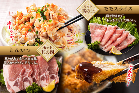 <2026年2月配送>宮崎県産 豚バラエティーセット合計3kg【B691-2602】