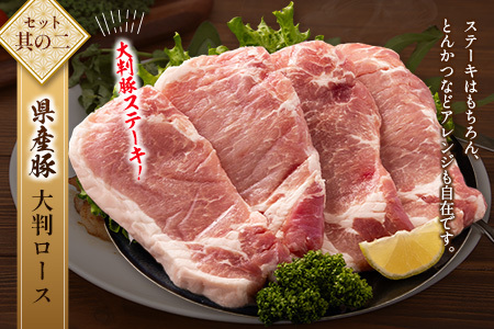 宮崎牛×県産豚 ステーキ食べ比べ セット合計1.2kg【C458】