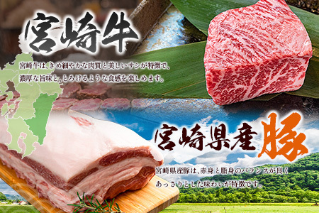 宮崎牛×県産豚 ステーキ食べ比べ セット合計1.2kg【C458】