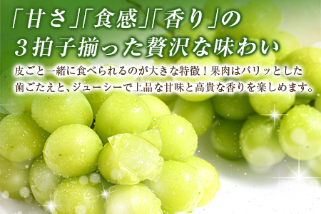 ＜2026年出荷＞先行予約［訳あり］シャインマスカット 約1.3kg【B688】