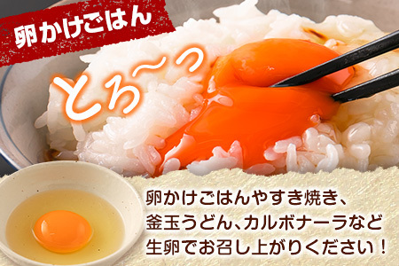 【定期便 3か月】 卵 30個 C464-030405