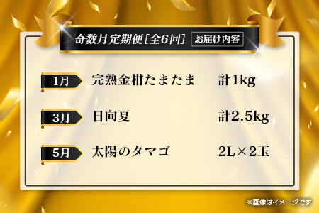 【年末年始限定】 フルーツ 定期便 全6回  隔月 果物 F157