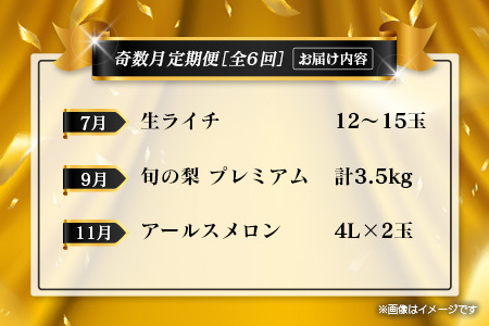【年末年始限定】 フルーツ 定期便 全6回  隔月 果物 F157