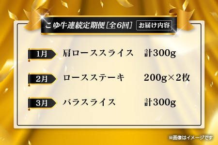 【年末年始限定】 お肉 定期便 6回 毎月 肉 E255