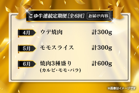 【年末年始限定】 お肉 定期便 6回 毎月 肉 E255