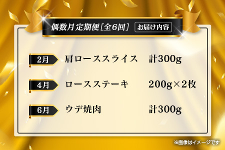 【年末年始限定】 お肉 定期便 6回  隔月 肉 E256
